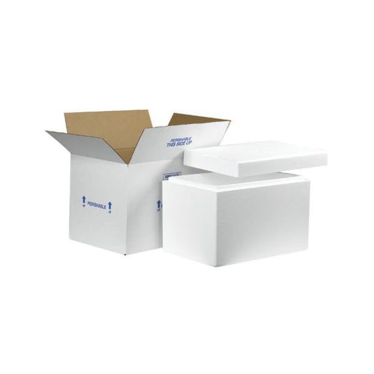 Insulated Shipping Containers, 19"