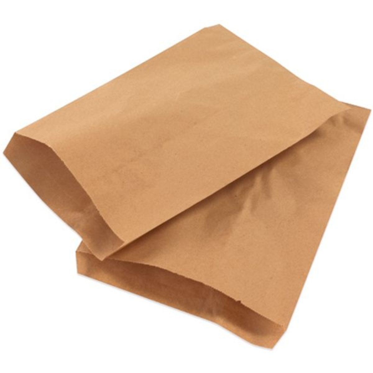 Kraft Flat Merchandise Bags (#12),
