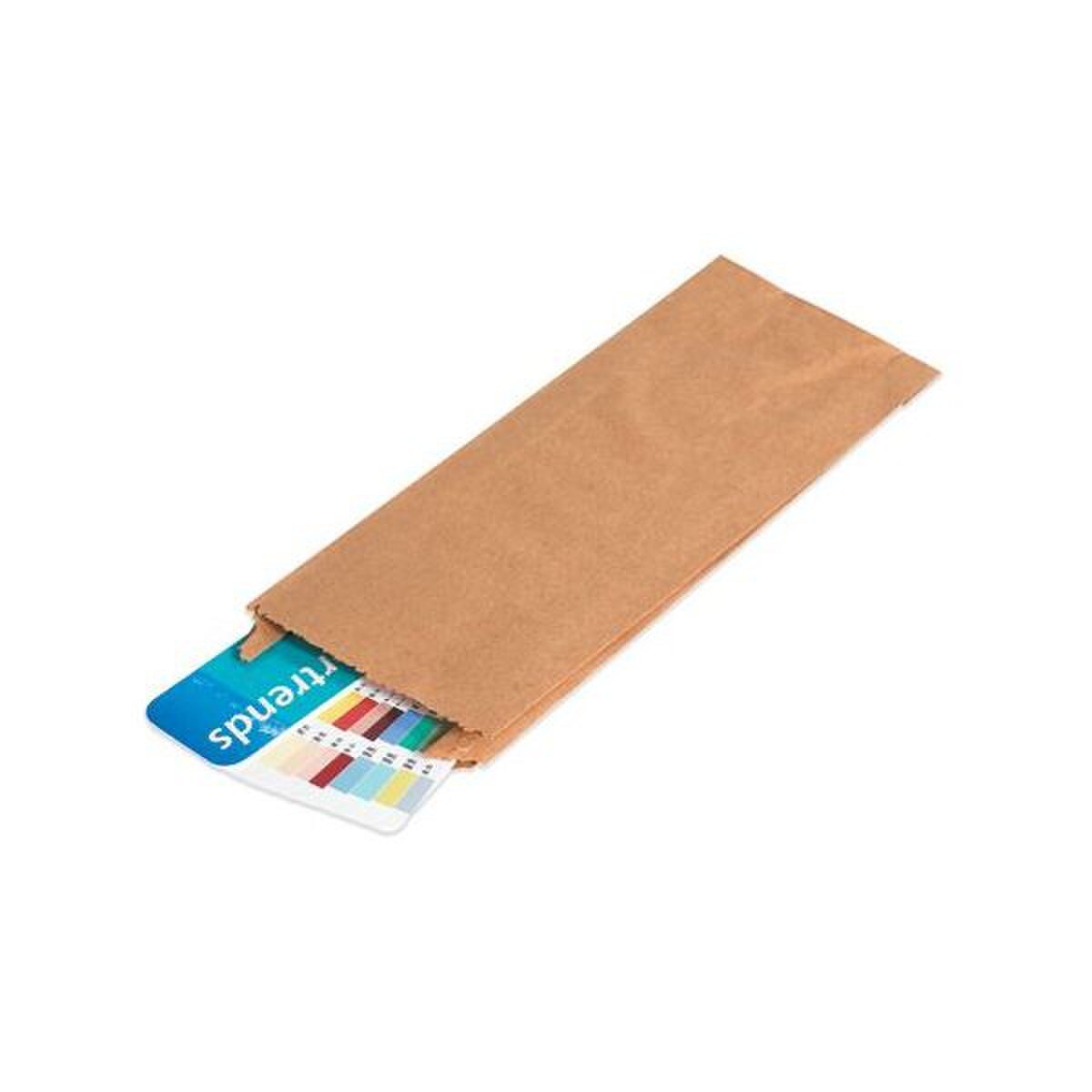 Kraft Gusseted Merchandise Bags (#2