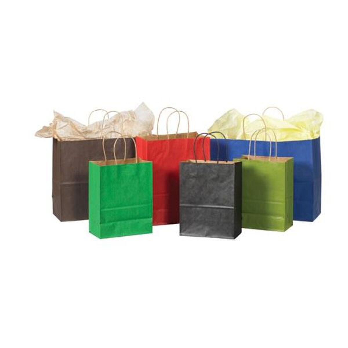 Kraft Tinted Paper Shopping Bags, 8