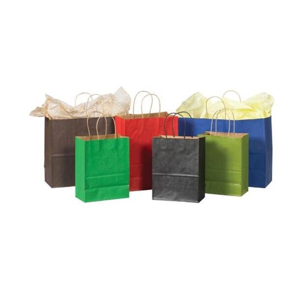 Kraft Tinted Paper Shopping Bags, 8