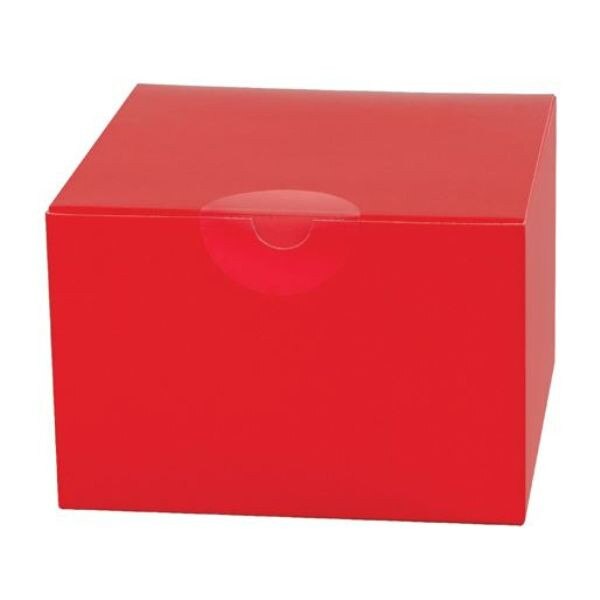 3/4" Clear Perforated Circle Mailin
