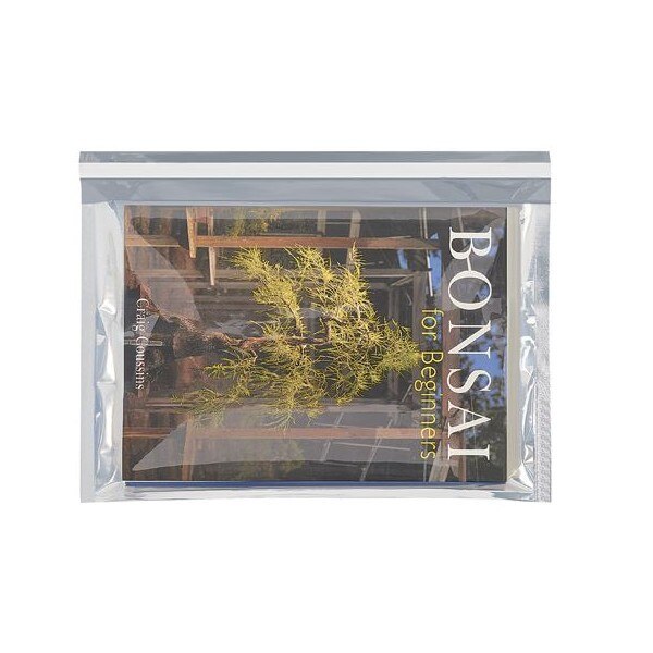 Translucent Silver Mailers, 9-1/2"