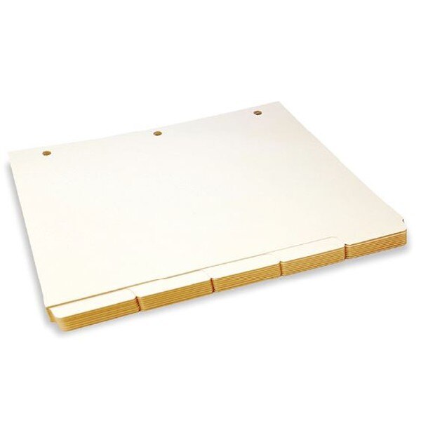 Tab DIV 8X11 Cleanroom Tabbed Divid