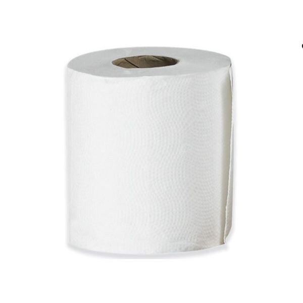 Advantage® 2-Ply Toilet Tissue, 500