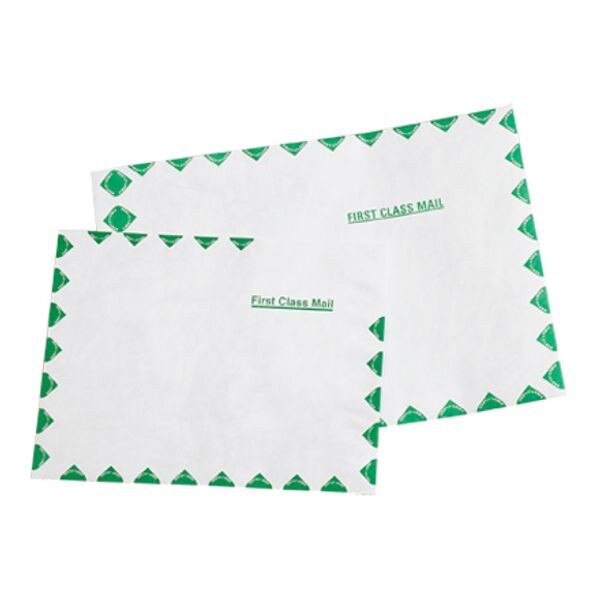 Flat Tyvek Envelopes, 9" x 12", 100